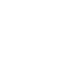 SG Bat - Buy SG Cricket Bat | Check Price - One O Cricket - ONE O CRICKET