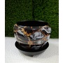 Black Metal Planter with Black Plate