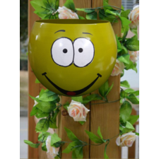 Smiley Emoji Round Wall Mounted Metal Pot