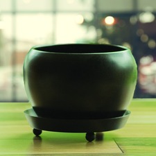 Black Matte Finish Table Top Metal Planter With Plate