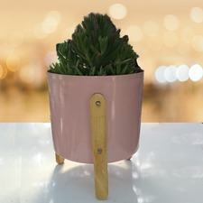 Modern Round Metal Pot with Wooden Stand