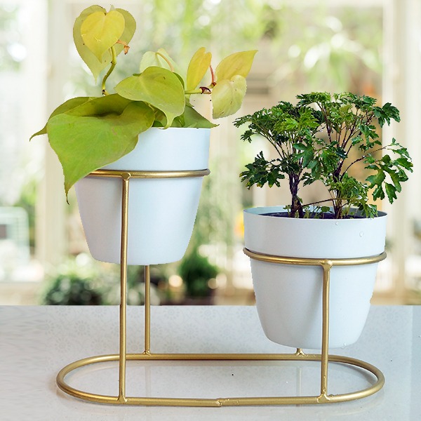 White Small Metal Golden Double Stand