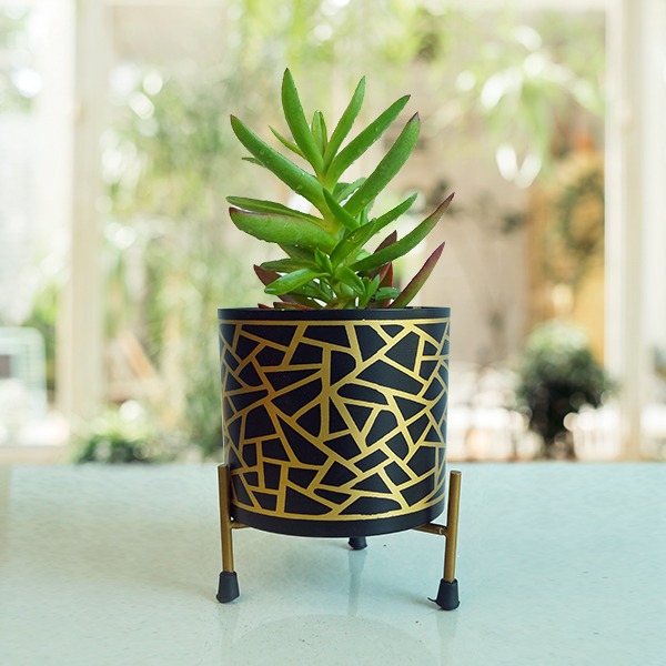 Matte Finish Round Metal Pot With Stand