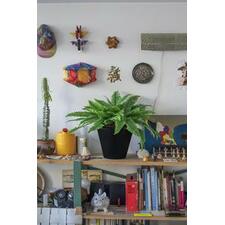 Model Two: Conical Planter Pot