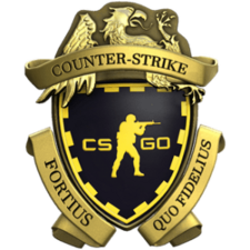 102 wins Loyalty Badge Prime Enabled 2021 Medal 297 Hours Faceit Available