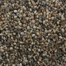 Hemp : seeds for wild birds 
