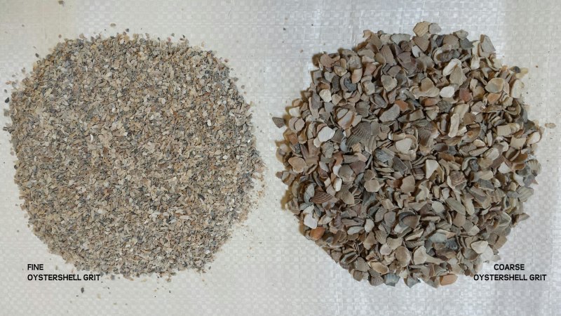 Oystershell Grit 