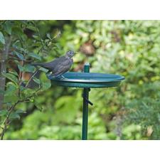 Aqualin* Wrap Around Bird Bath