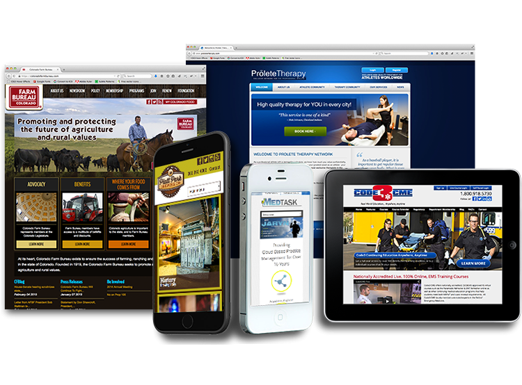 Denver Web Design & Develop...