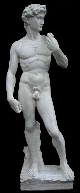David by Michelangelo statu...