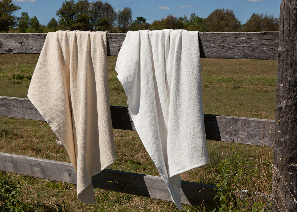 Ivory or White Organic Cott...
