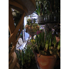 Architectural urns & pots