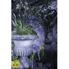 Beautiful stone urns