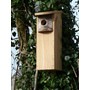 Woodpecker Nest Box