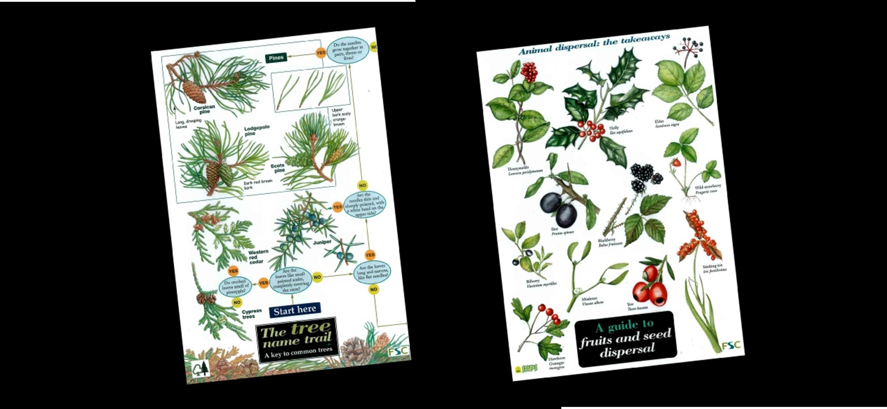 Plant Field Guides