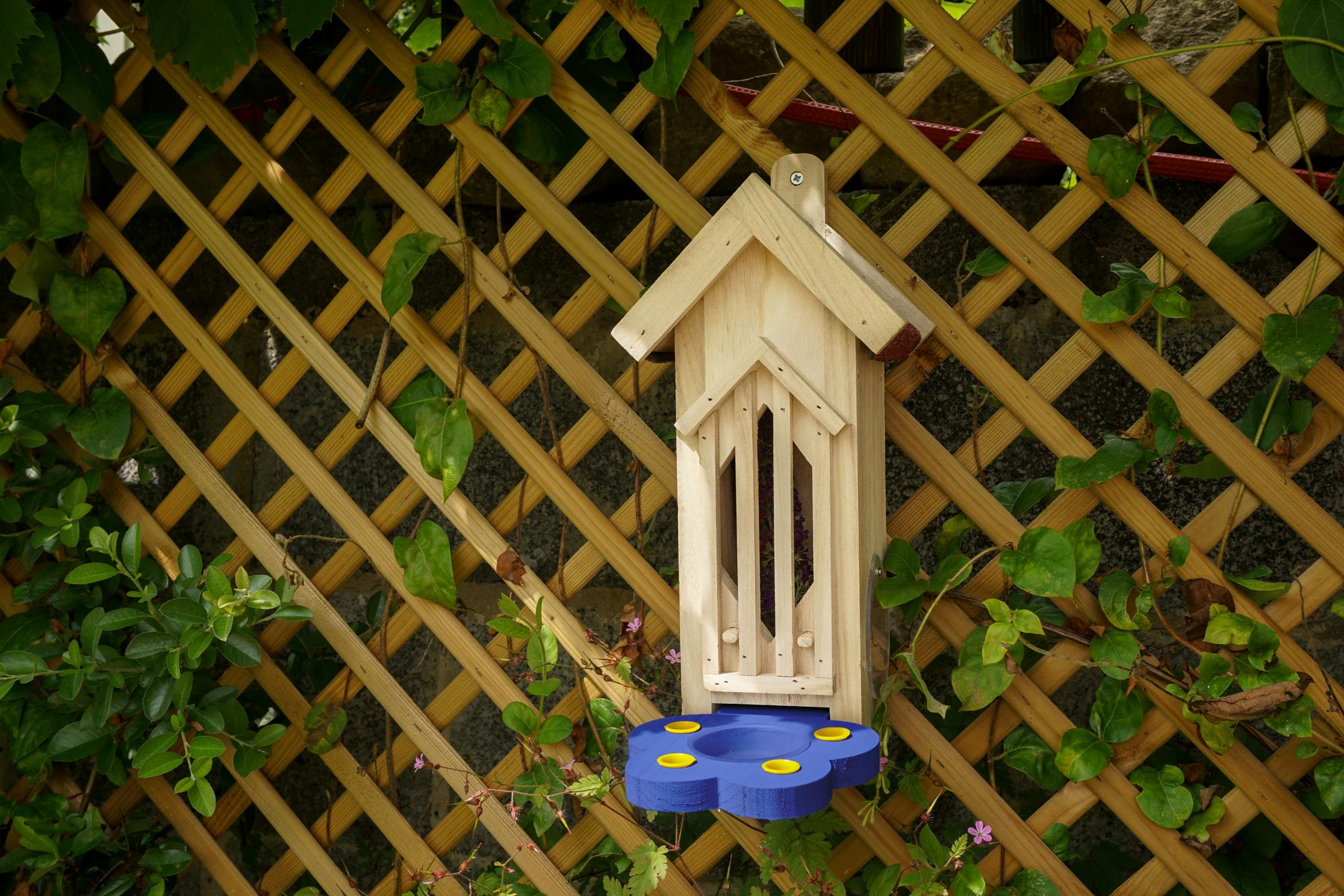 Butterfly & Bug House