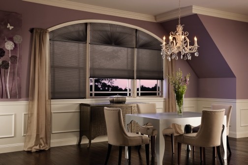 Cellular Shades Blackout SS...