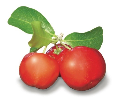 Buy Organic Acerola Cherry ...