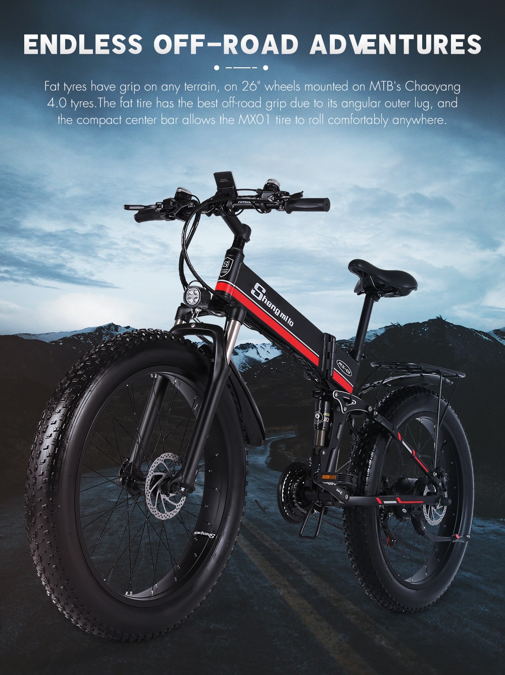Folding 1000W Electric Bike