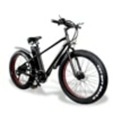 750W Mountain Electric Bike