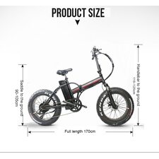 Folding Electric Bike