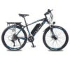 Beach Cruiser Electric Bike