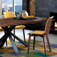 Vela Wood Modern Dining Chair