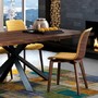 Vela Wood Modern Dining Chair