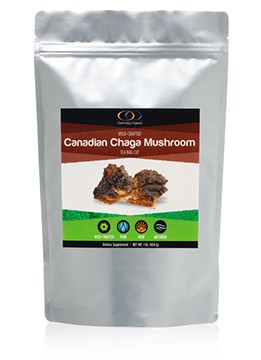 Chaga Mushrooms (Canadian, ...