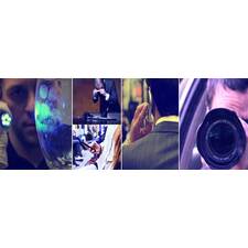 Pre Matrimonial Investigation