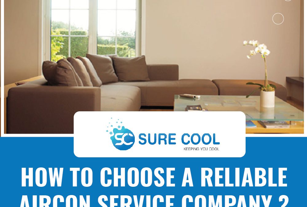 How to choose a Reliable Ai...