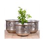 Nickel Antique Floral Planter - Set of 3