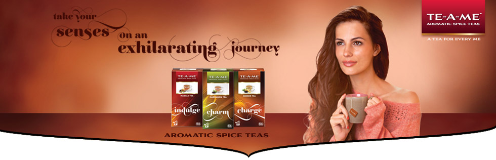 TE-A-ME - Take Your Senses ...