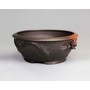 Hand Carved Dragon by Motozo - Tokoname Bonsai Pot