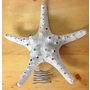 Real Starfish Christmas Tree Topper - Multi-Colored Rhinestones - New - Made in Hawaii
