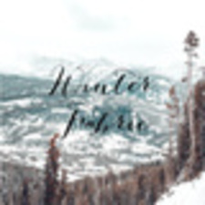 Winter Fabric