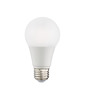 Most Affordable A19 LED Lamp from Forest Lighting USA