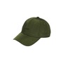 ADIDAS X IVY PARK Baseball Cap, Main, color, WILD PINE