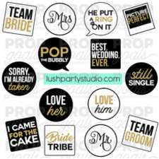 Load image into Gallery viewer, wedding bridal photo booth prop party wedding newlywed mr mrs best wedding ever photobooth photo booth prop pvc props