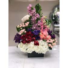 Elegance in Color | Tinas Flowers and Gifts | Feel Better