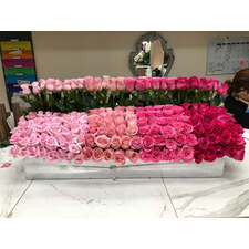 Color Palette Box Pink