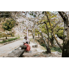 Sakuraverse - World 1.8