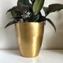 ENAMELED MATTE BRASS FINISHED HAMMERED PLANTER