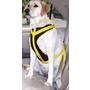Dog Safety Vest Harness