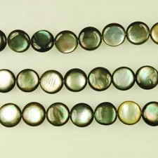 Black Lip Shell, Coin Shape