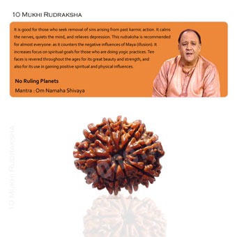 10 Mukhi Rudraksha