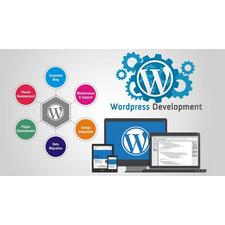 WordPress Development Company