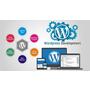 WordPress Development Company