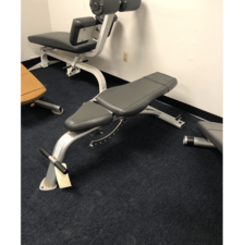 Cybex Adjustable Bench, 10-80 Degree