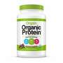 Orgain Organic Protein